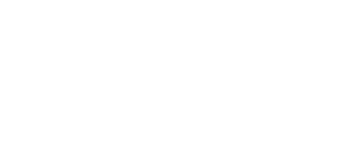 Black Knight logo